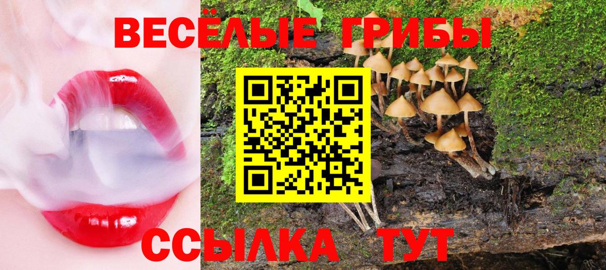 Псилоцибиновые грибы мухоморы  Вход с VPN  цена   Якутск 